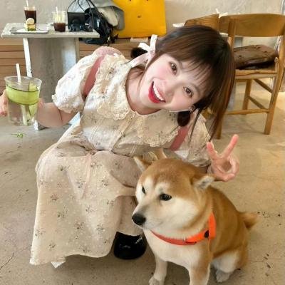 键盘侠
